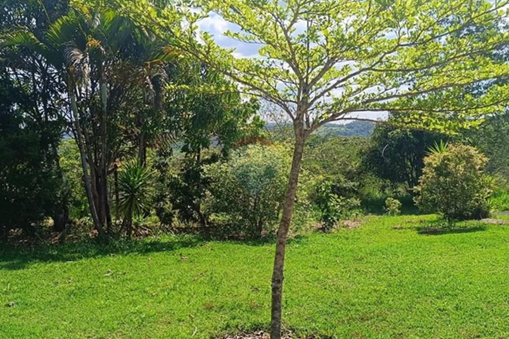 Terreno - Venda - Brumadinho , Minas Gerais - WhatsApp Image 2025-11-20 at 10.06.51.jpeg - 870421014-351