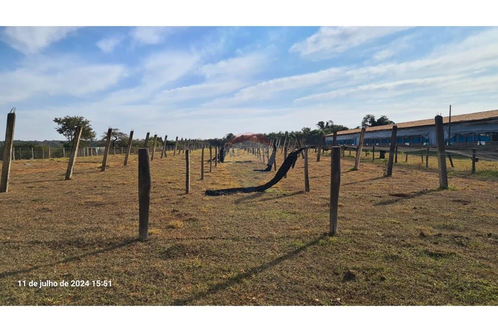 Chácara / Sítio / Fazenda - Venda - Uberaba , Minas Gerais -  (23).jpeg - 870291025-115