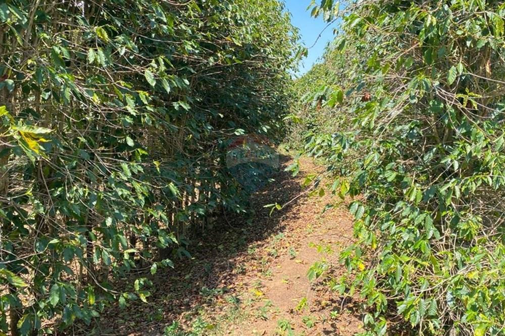 Chácara / Sítio / Fazenda - Venda - Casa Grande , Minas Gerais - WhatsApp Image 2025-11-10 at 11.27.37 (1).jpeg - 870411117-20