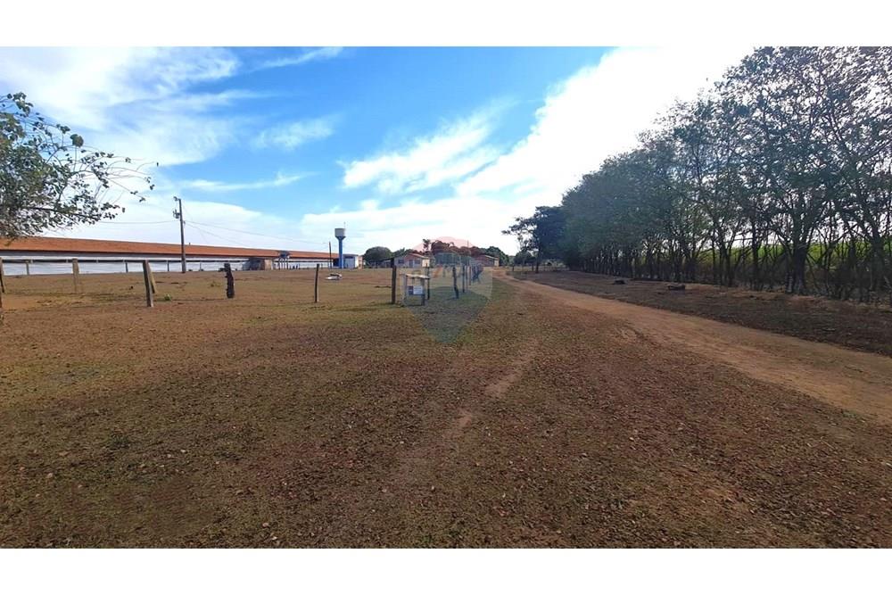 Chácara / Sítio / Fazenda - Venda - Uberaba , Minas Gerais - 24 Fazenda Venda R$ 6.500.000 em Uberaba na Remax 870291025-115.jpeg - 870291025-115