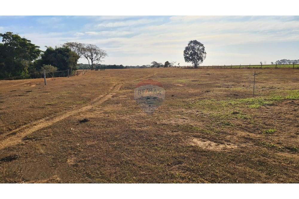 Chácara / Sítio / Fazenda - Venda - Uberaba , Minas Gerais - 42 Fazenda Venda R$ 6.500.000 em Uberaba na Remax 870291025-115.jpeg - 870291025-115