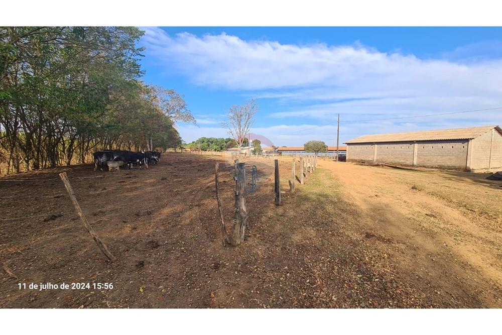 Fazenda - Venda - Uberaba , Minas Gerais - (21).jpeg - 870291025-116