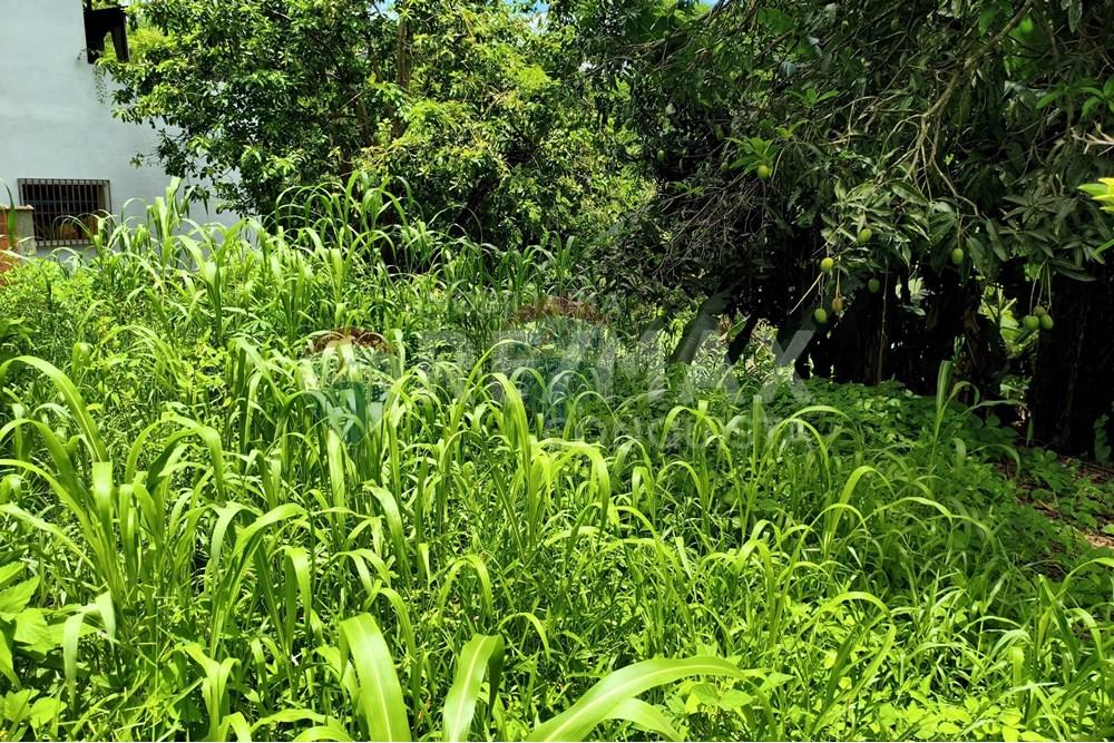 Terreno - Venda - Ipanema , Minas Gerais - 2_image_2_watermark_sex._19122025_100527.jpg - 870451004-112