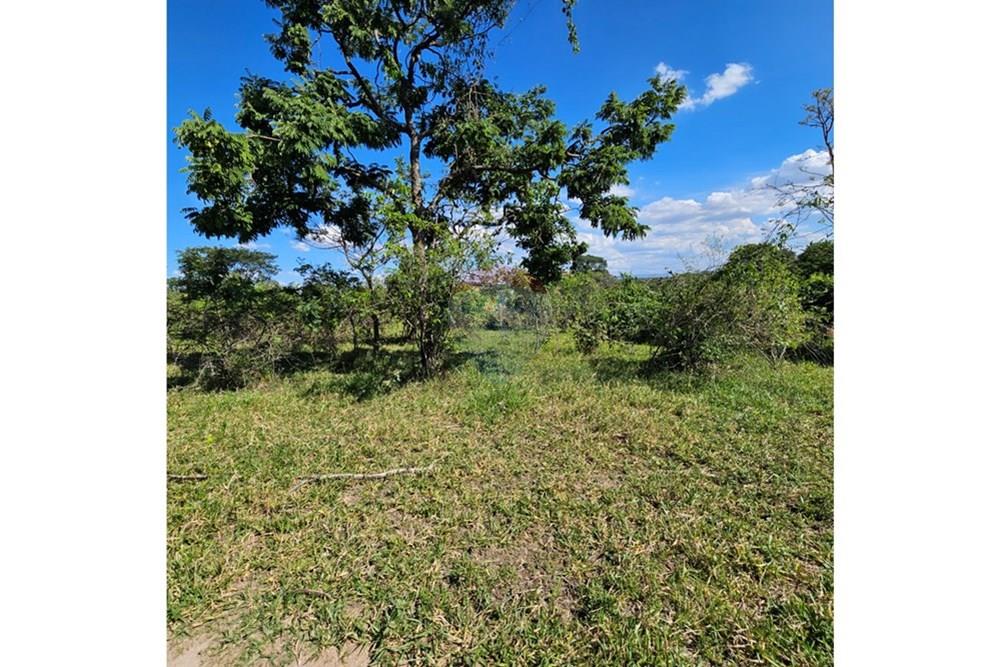 Terreno - Venda - Contagem , Minas Gerais - 20260112_152246.jpg - 870241034-67