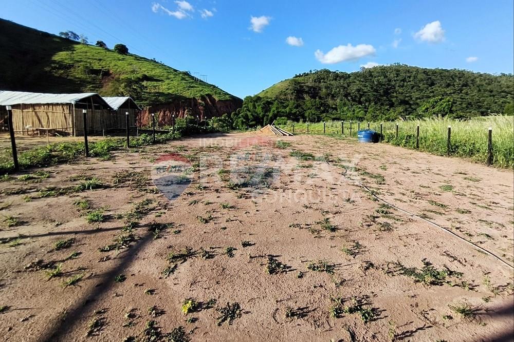 Chácara / Sítio / Fazenda - Venda - Conceição de Ipanema , Minas Gerais - 8_image_8_watermark_dom._11012026_131701.jpg - 870451004-113