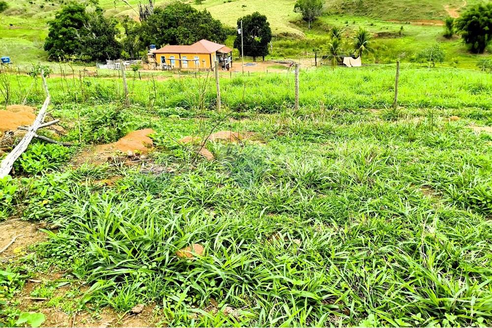 Chácara / Sítio / Fazenda - Venda - Ipanema , Minas Gerais - 7_image_7_watermark_qui._20112025_124803.jpg - 870451013-80