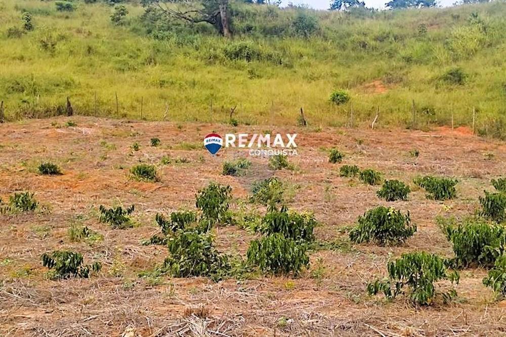 Chácara / Sítio / Fazenda - Venda - Ipanema , Minas Gerais - 3_IMG_20240515_083009_watermark_dom._23062024_100001.jpg - 870451001-121