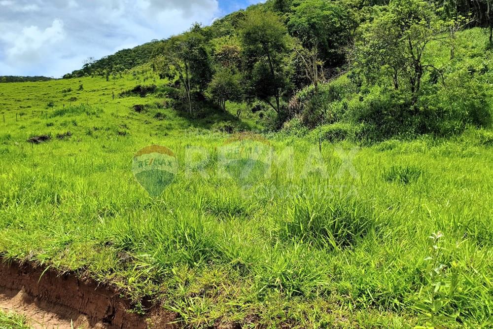Chácara / Sítio / Fazenda - Venda - Taparuba , Minas Gerais - 8_image_8_watermark_ter._17022026_130646.jpg - 870451001-165