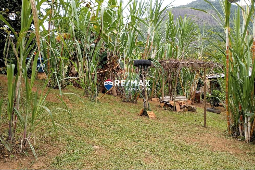 Chácara / Sítio / Fazenda - Venda - Ipanema , Minas Gerais - 9_image_9_watermark_seg._12052025_100204.jpg - 870451004-100