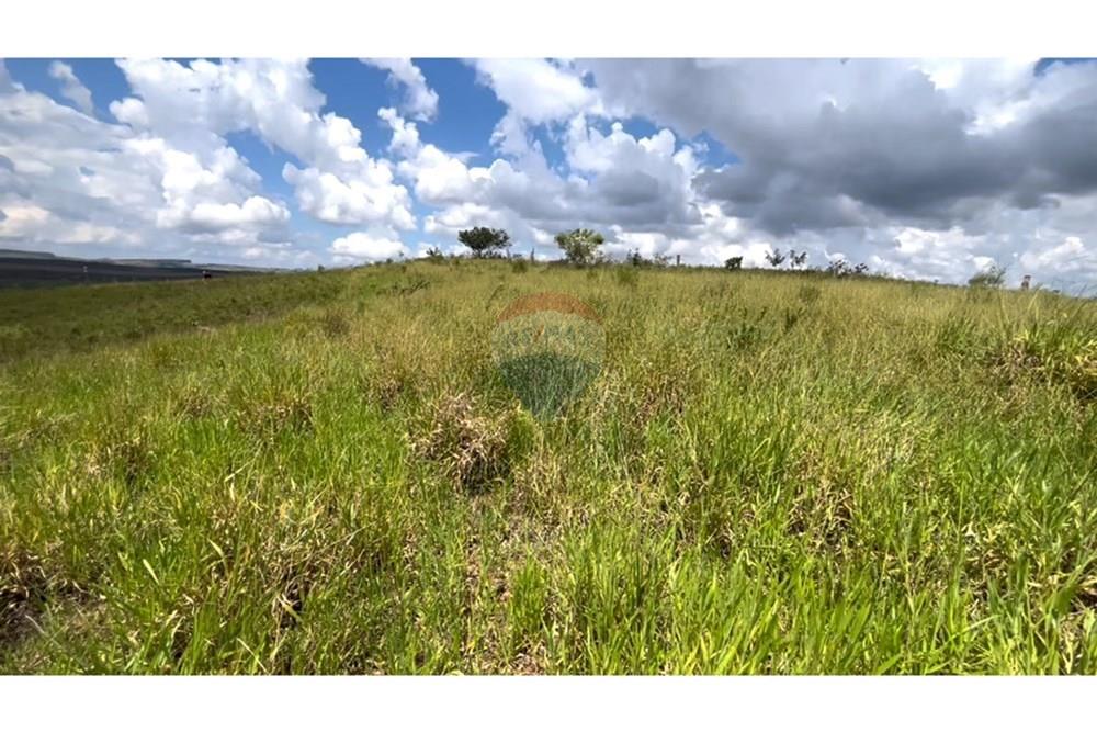 Fazenda - Venda - São Roque de Minas , Minas Gerais - Gleba 1 B.jpg - 870431039-43