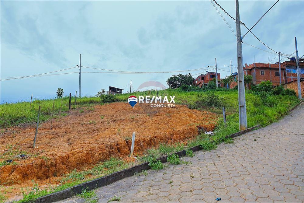 Terreno - Venda - Ipanema , Minas Gerais - 5 - 870451004-110