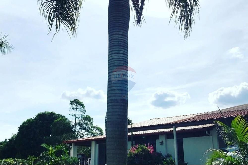 Chácara / Sítio / Fazenda - Venda - Araxá , Minas Gerais - Picsart_25-01-08_11-35-56-609.jpg - 870431052-15