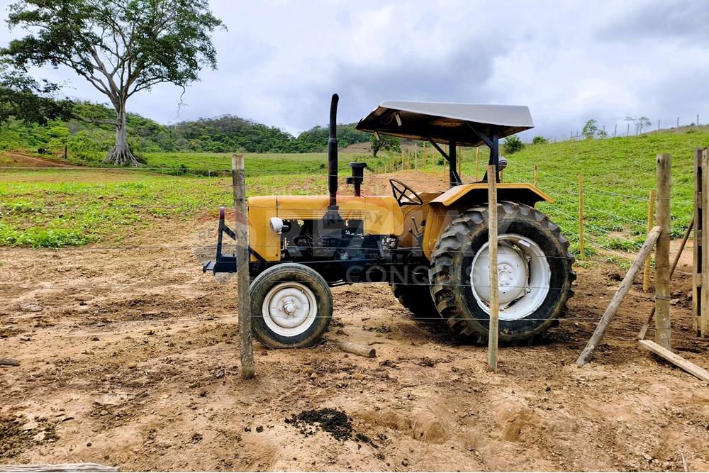 Chácara / Sítio / Fazenda - Venda - Ipanema , Minas Gerais - 5_image_5_watermark_qui._20112025_124421.jpg - 870451013-80