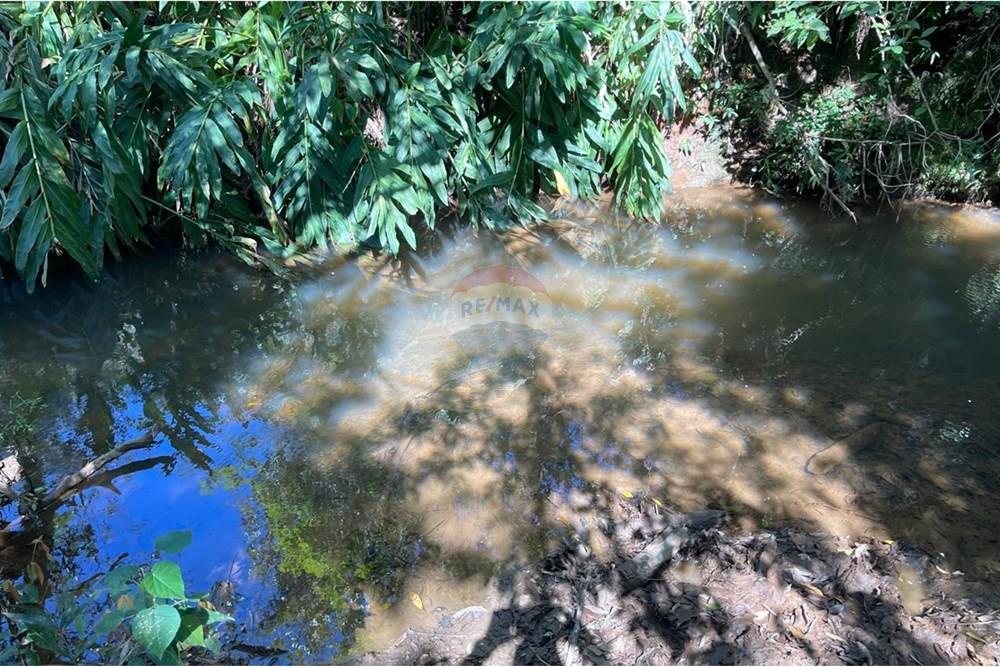 Chácara / Sítio / Fazenda - Venda - Araxá , Minas Gerais - jose cunha oliveira Fazenda Colina córrego.jpg - 870431004-117