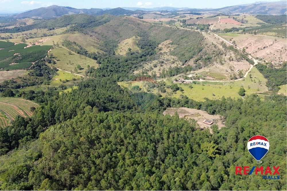 Chácara / Sítio / Fazenda - Venda - São Roque de Minas , Minas Gerais - b29147de-ebc9-4c18-94f7-aa5f18c4c166.jpg - 870731003-7