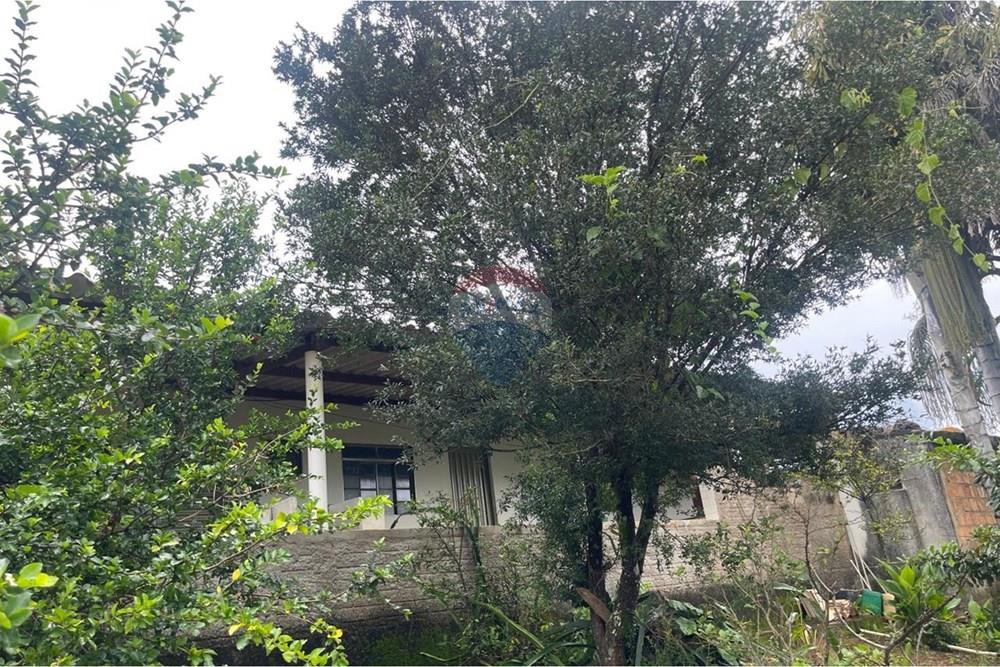 Fazenda - Venda - Araxá , Minas Gerais - 14.jpeg - Jardim Externo - 870431045-58