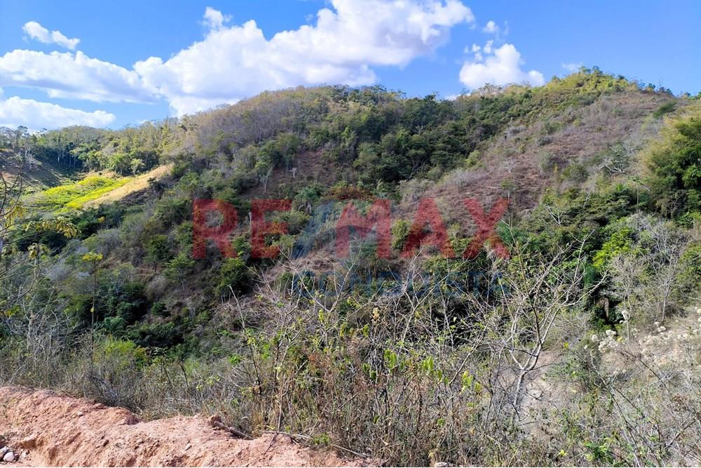 Chácara / Sítio / Fazenda - Venda - Ipanema , Minas Gerais - 4_image_4_watermark_seg._15092025_150604.jpg - 870451013-72