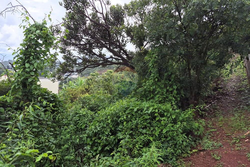 Terreno - Venda - Nova Lima , Minas Gerais - 20260318_105519.jpg - 870421084-35