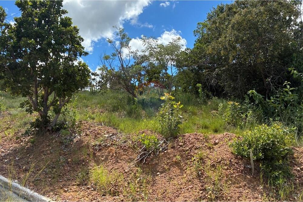 Terreno - Venda - Jequitibá , Minas Gerais - FOTO1.jpeg - 870241112-57