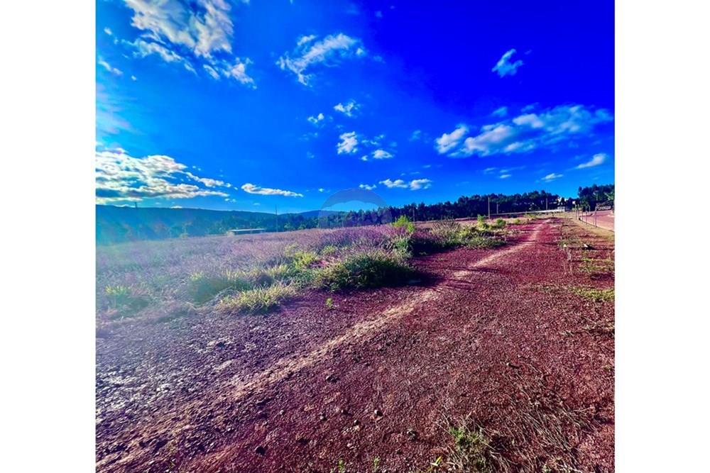 Terreno - Venda - Nova Lima , Minas Gerais - WhatsApp Image 2025-10-14 at 17.35.05 (1).jpeg - 870761004-6