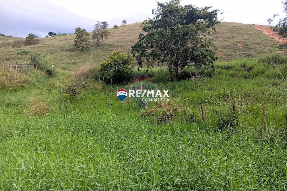 Terreno - Venda - Taparuba , Minas Gerais - 0_image_0_watermark_sex._02052025_102730.jpg - 870451001-127