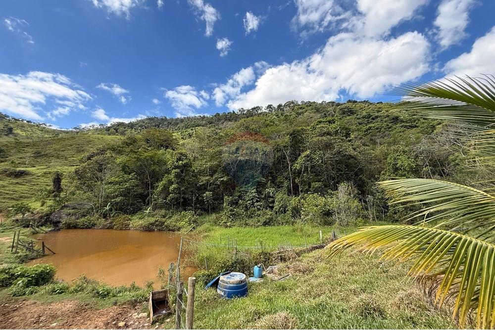 Chácara / Sítio / Fazenda - Venda - Ipatinga , Minas Gerais - WhatsApp Image 2025-11-12 at 17.37.12 (2).jpeg - 870711007-44