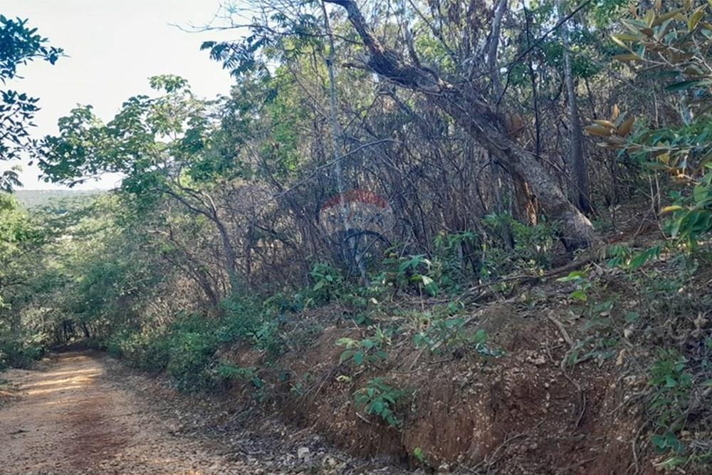 Terreno - Venda - Lagoa Santa , Minas Gerais - FOTO16 FAZENDA .jpg - Loft - 870421119-51