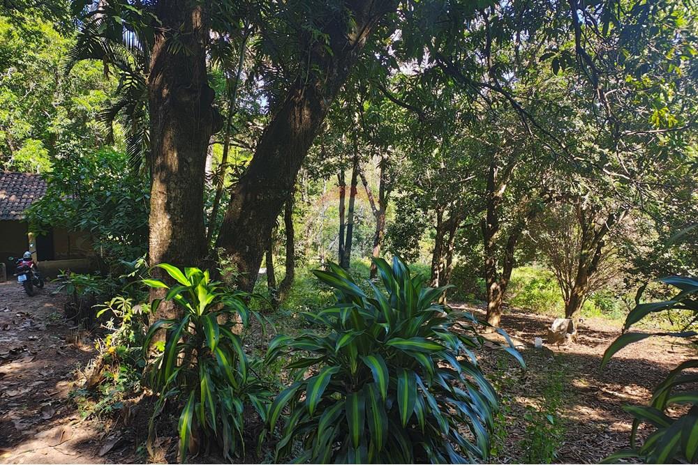 Terreno - Venda - Betim , Minas Gerais - IMG_20250614_105747188_HDR.jpg - 870411113-22