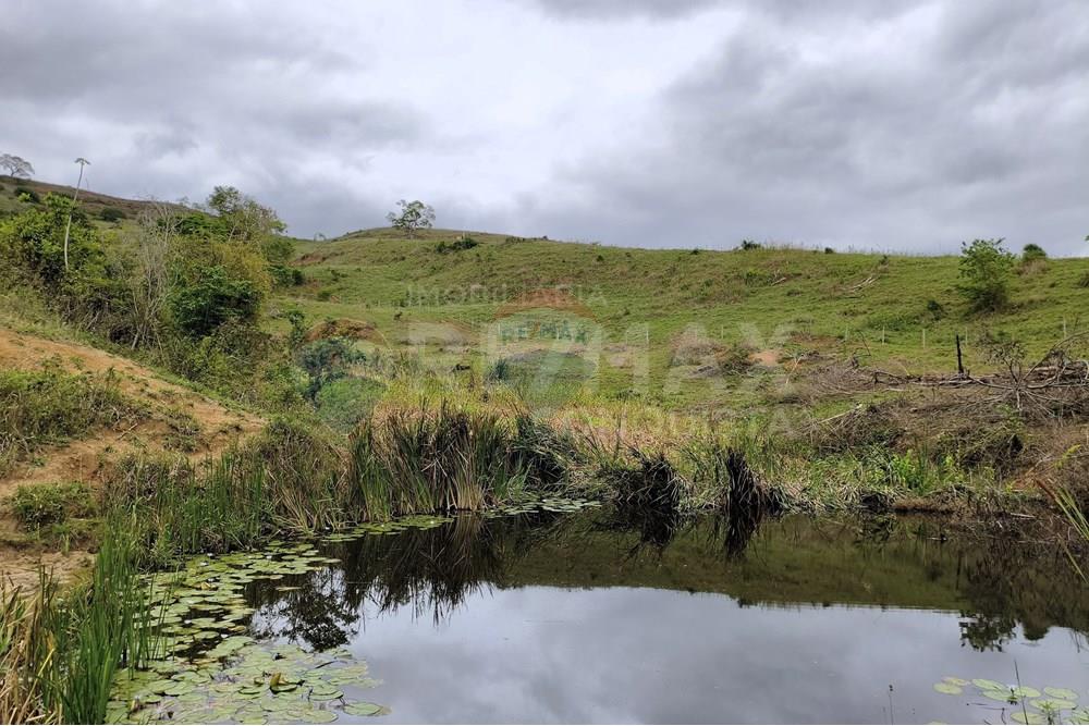 Chácara / Sítio / Fazenda - Venda - Ipanema , Minas Gerais - 2_image_2_watermark_qui._20112025_124337.jpg - 870451013-80