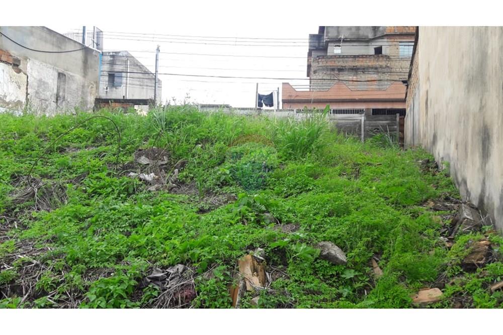 Terreno - Venda - Belo Horizonte , Minas Gerais - WhatsApp Image 2025-12-23 at 09.50.16 (1).jpeg - 870411148-3