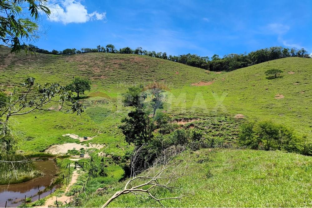 Chácara / Sítio / Fazenda - Venda - Taparuba , Minas Gerais - 1_image_1_watermark_sex._19122025_102038.jpg - 870451001-158