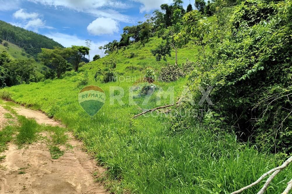 Chácara / Sítio / Fazenda - Venda - Taparuba , Minas Gerais - 7_image_7_watermark_ter._17022026_130734.jpg - 870451001-165