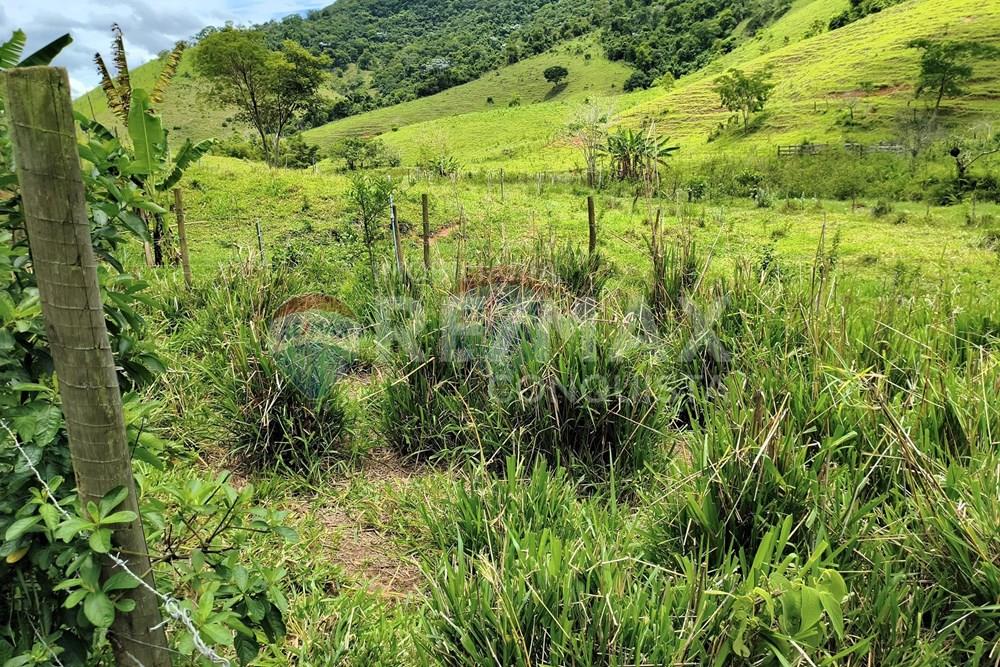 Chácara / Sítio / Fazenda - Venda - Taparuba , Minas Gerais - 7_image_7_watermark_ter._17022026_130558.jpg - 870451001-165