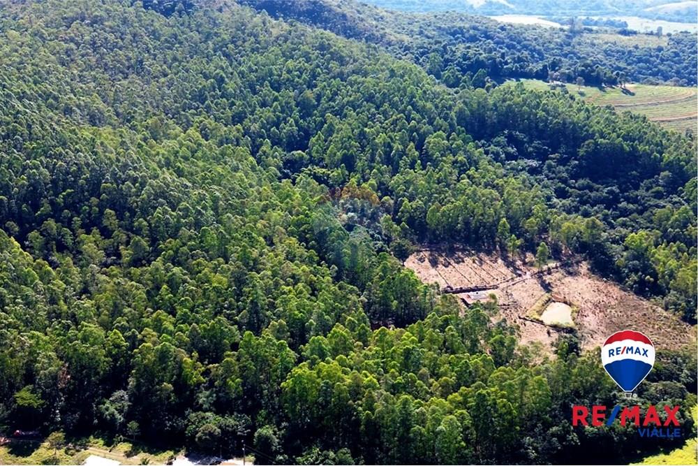 Chácara / Sítio / Fazenda - Venda - São Roque de Minas , Minas Gerais - 5e30af37-8145-43f0-be80-17db53c750a9.jpg - 870731003-7