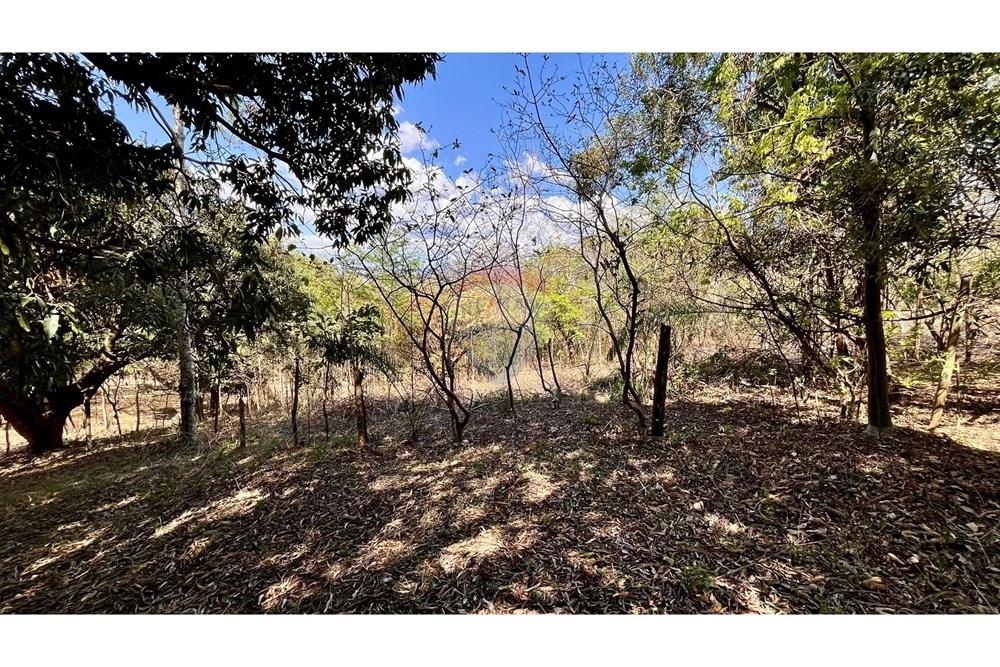 Chácara / Sítio / Fazenda - Venda - Nova Lima , Minas Gerais - WhatsApp Image 2025-10-23 at 11.17.23 (2).jpeg - 870351032-22