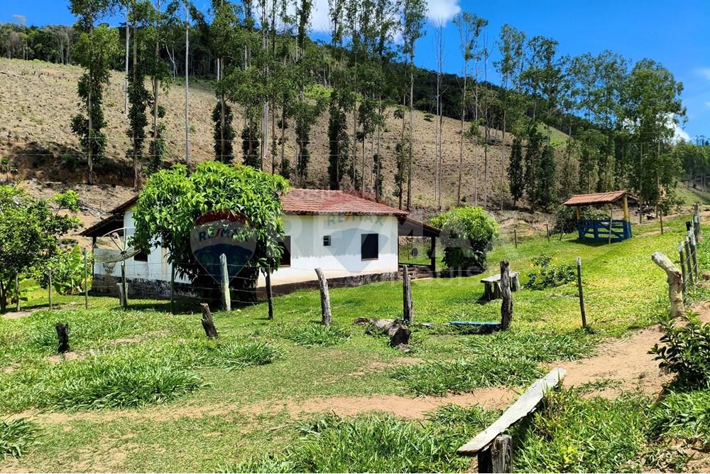 Chácara / Sítio / Fazenda - Venda - Taparuba , Minas Gerais - 3_image_3_watermark_sex._19122025_102342.jpg - 870451001-158