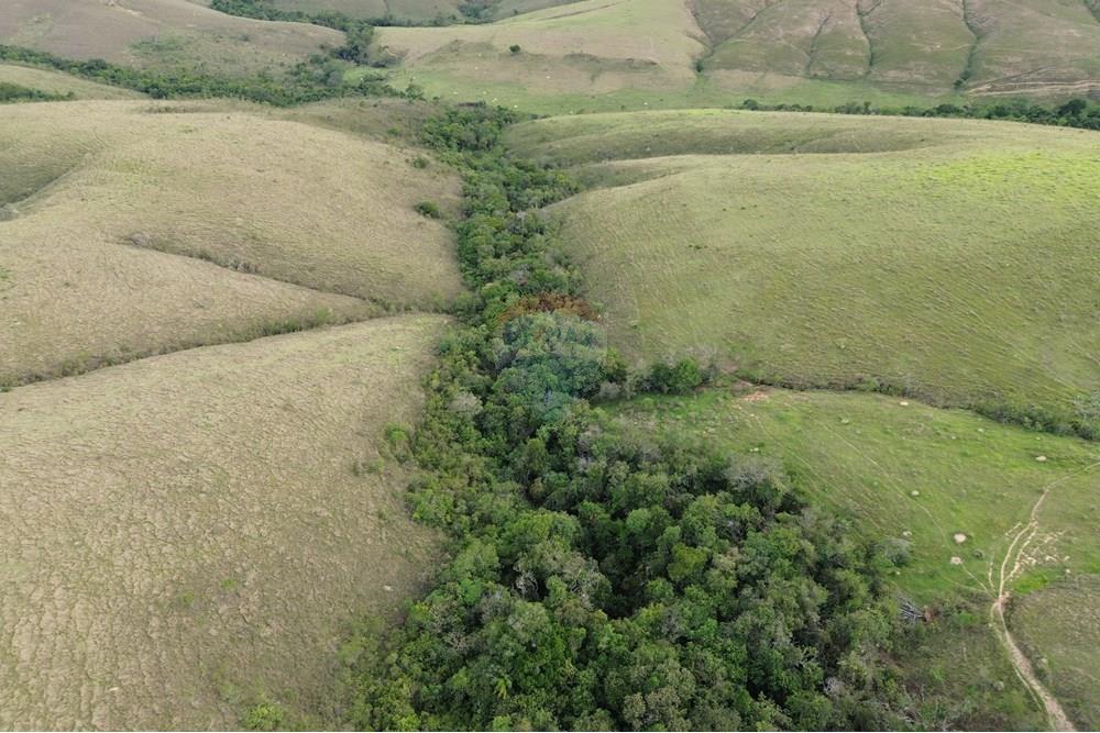 Fazenda - Venda - Araxá , Minas Gerais - 10.JPG - 870431045-55