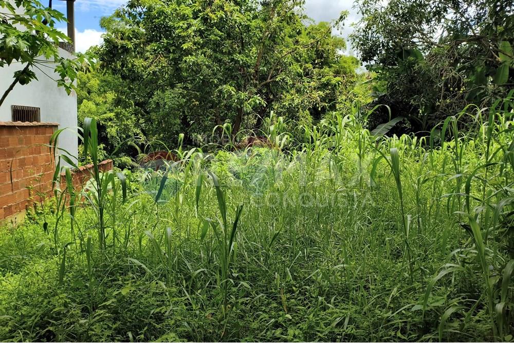 Terreno - Venda - Ipanema , Minas Gerais - 3_image_3_watermark_sex._19122025_100528.jpg - 870451004-112