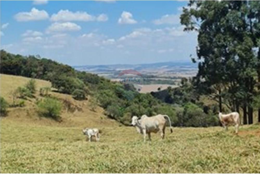 Chácara / Sítio / Fazenda - Venda - Casa Grande , Minas Gerais - foto 37.jpeg - 870411117-20