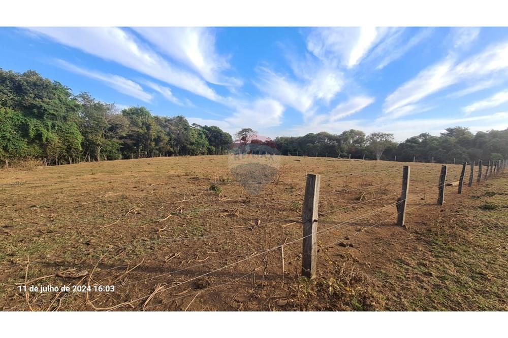 Chácara / Sítio / Fazenda - Venda - Uberaba , Minas Gerais -  (43).jpeg - 870291025-115