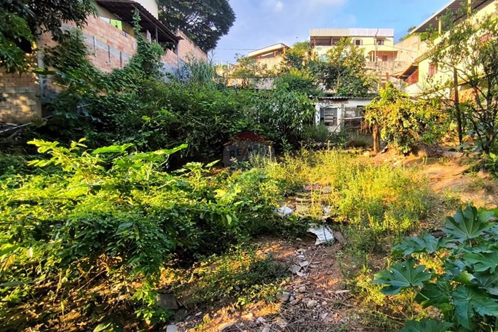 Terreno - Venda - Ibirité , Minas Gerais - 1744312819526.jpg - 870421081-6