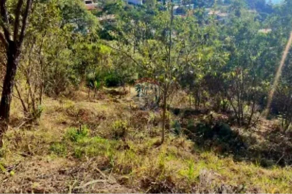Terreno - Venda - Nova Lima , Minas Gerais - Foto terreno Campo do Pires 19.jpeg - 870241097-38