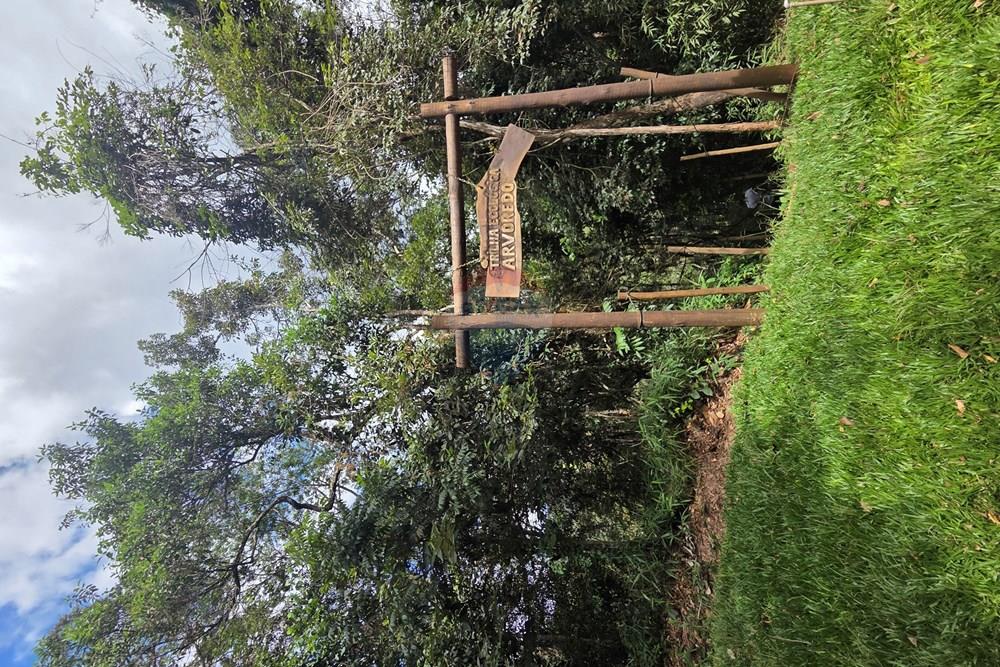 Casa - Venda - Nova Lima , Minas Gerais - 20260328_133203.jpg - 870351021-148