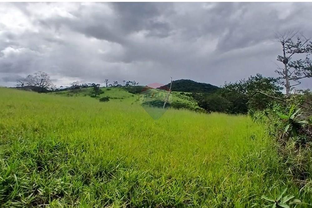 Fazenda - Venda - Serro , Minas Gerais - WhatsApp Image 2025-11-22 at 10.11.33 (2).jpeg - 870411101-18