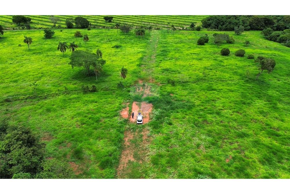 Chácara / Sítio / Fazenda - Venda - São Sebastião do Paraíso , Minas Gerais - SITIO ROMULO BICEGO (7).jpeg - 870811007-131