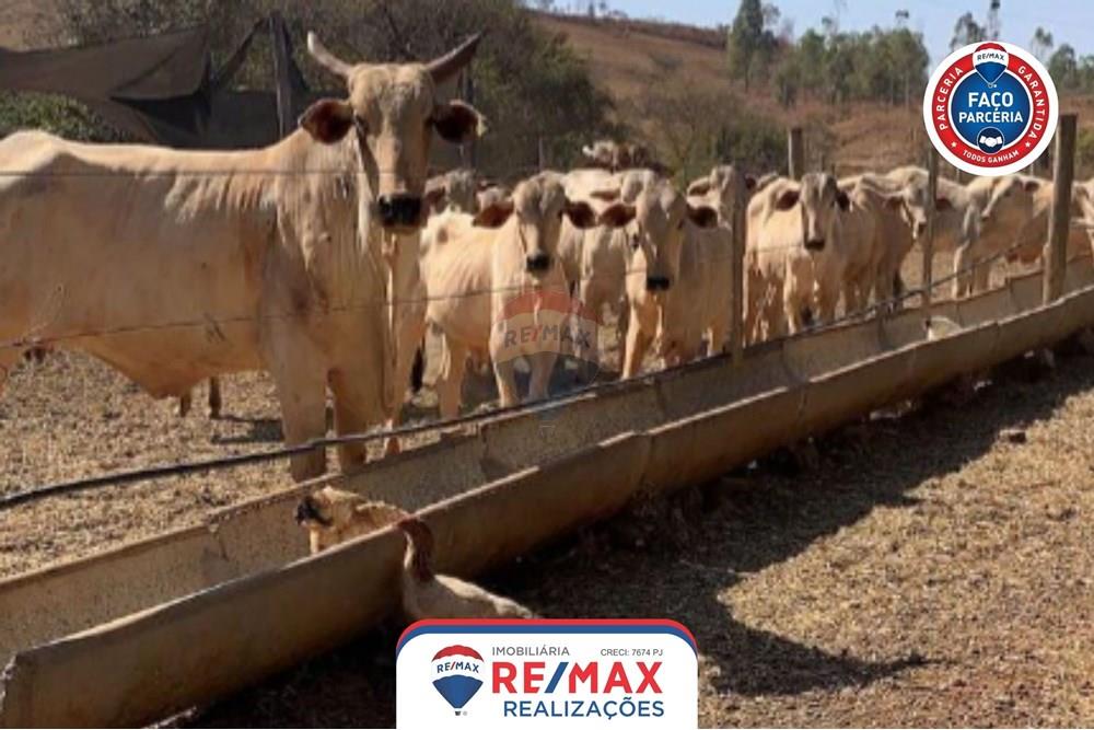 Gyvenamasis - Ferma - Patos de Minas , Minas Gerais - BR - 27.jpg - 870631011-31