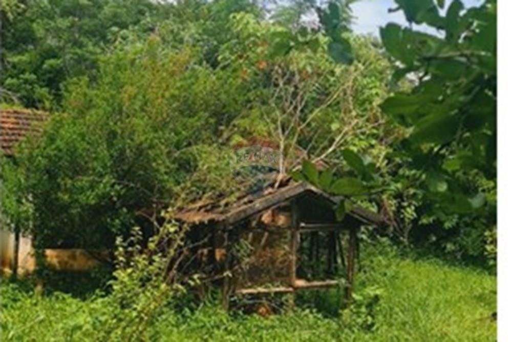 Fazenda - Venda - Pedro Leopoldo , Minas Gerais - WhatsApp Image 2025-12-11 at 16.48.26.jpeg - 870411117-34