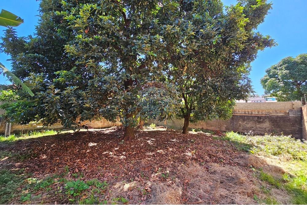 Terreno - Venda - Contagem , Minas Gerais - 20250412_095234.jpg - Fachada - 870411099-17