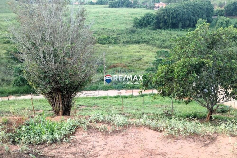 Terreno - Venda - Ipanema , Minas Gerais - 2_image_2_watermark_seg._05052025_142625.jpg - 870451004-98