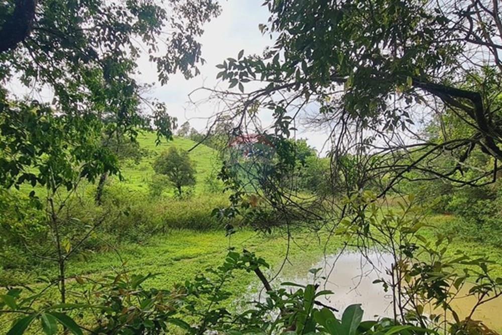 Fazenda - Venda - Pedro Leopoldo , Minas Gerais - WhatsApp Image 2025-12-11 at 16.48.53.jpeg - 870411117-34